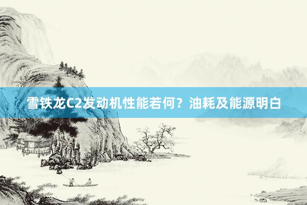 雪铁龙C2发动机性能若何？油耗及能源明白