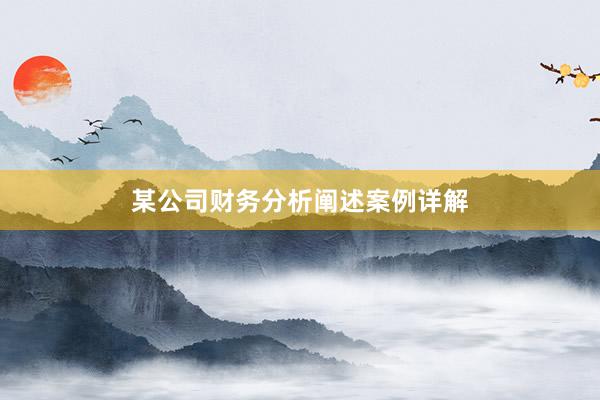 某公司财务分析阐述案例详解